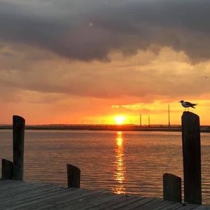 Meet your Posher, Chris-dayna moyer